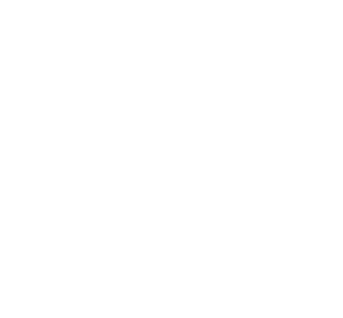 Loïc Vignes Consultants